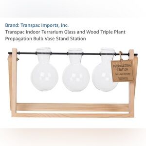 Glass and Wood Triple Plant Propagation Station